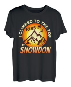 Mount Snowdon Ich bin auf den Gipfel von 1085 m geklettert T-Shirt